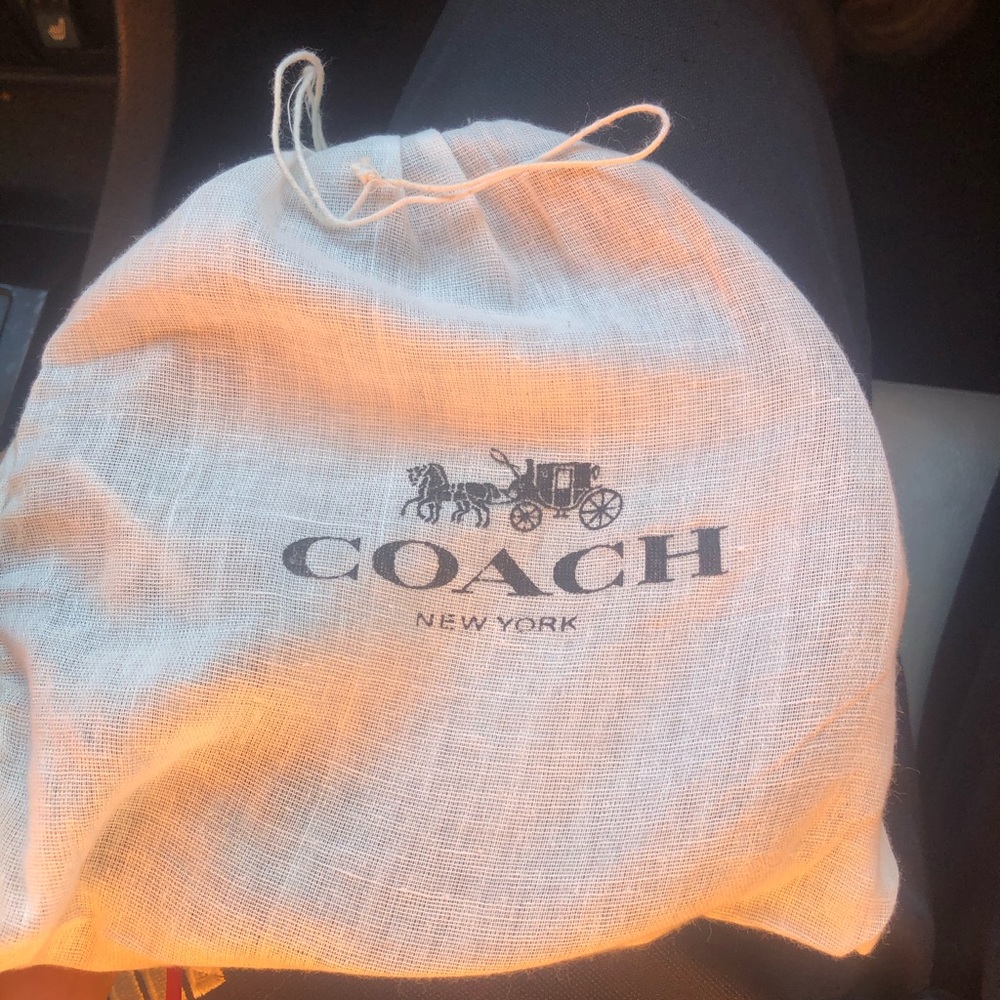 Coach belt
